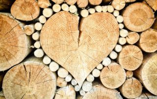 Logs arranged in the shape of a heart